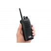 Walkie PMR Kenwood TK-3401